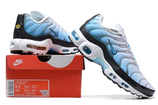 Nike Air Max Plus Ice