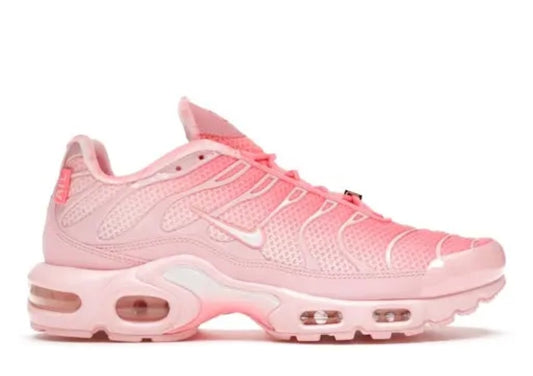 Nike TN Air Max Plus